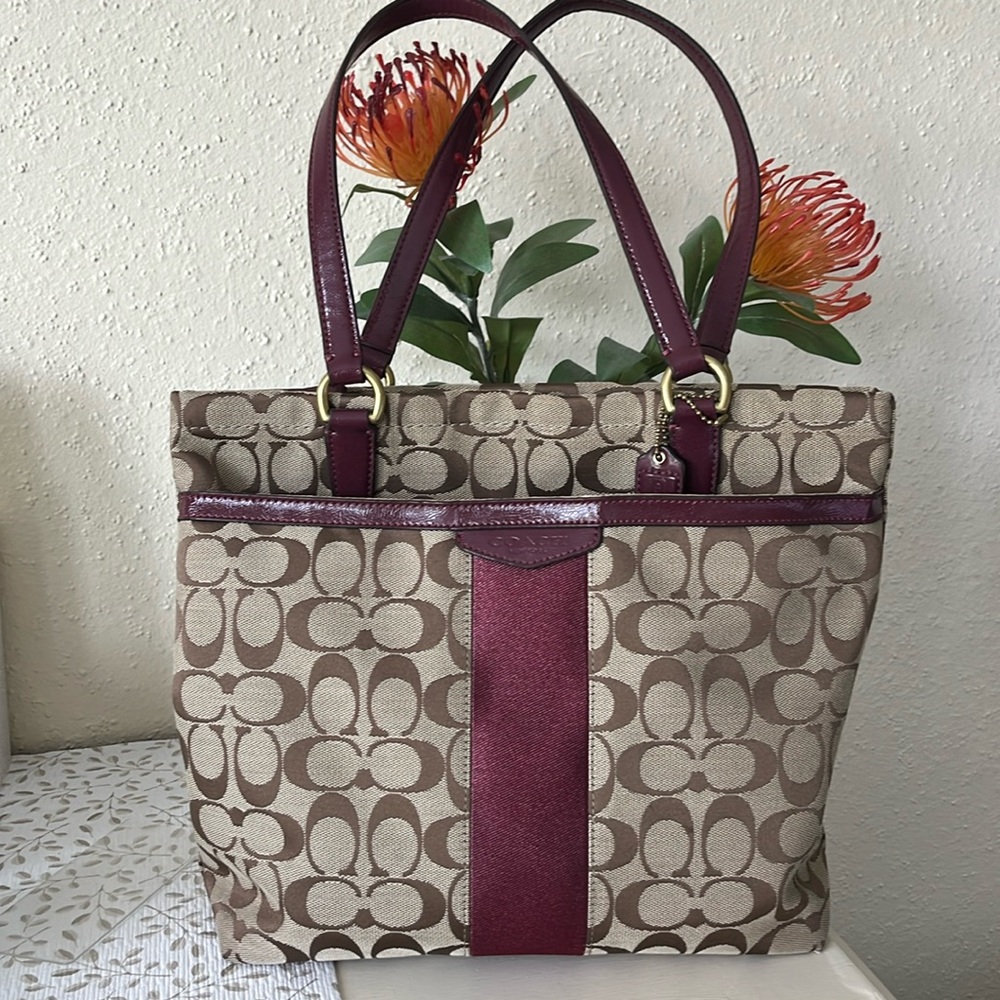 EUC Coach Purse